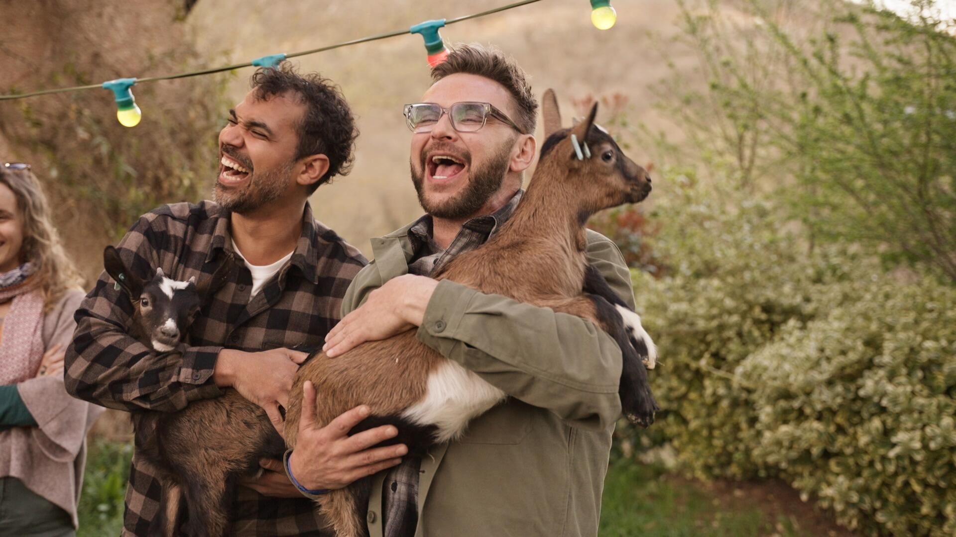 Leurs belles étoiles